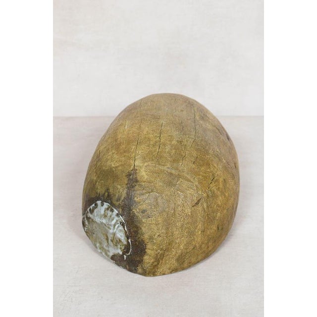 Turkana Bowl in Handcarved Wood For Sale - Image 3 of 5