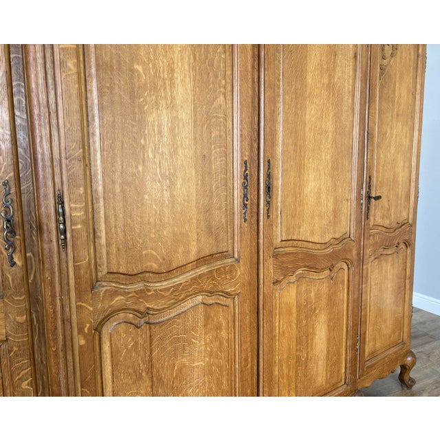 Vintage French Louis XVI Style Wardrobe in Oak For Sale - Image 9 of 15