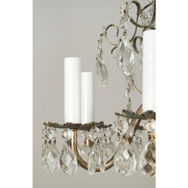 Mid 20th Century Mid 20th Century Rococo Revival Eight Arm Scalloped Crystal Chandelier For Sale - Image 5 of 11