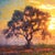 Contemporary Field of Memories by Christopher Clark | Oil on canvas Landscape with poppies and trees at sunset For Sale - Image 3 of 4