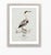 Not Yet Made - Made To Order William Lewin 1789 Waterbirds Fine Art Gallery Board Print - The Blue Heron For Sale - Image 5 of 9
