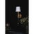 Traditional Regina Andrew Auburn Crystal Sconce, Gold For Sale - Image 3 of 8