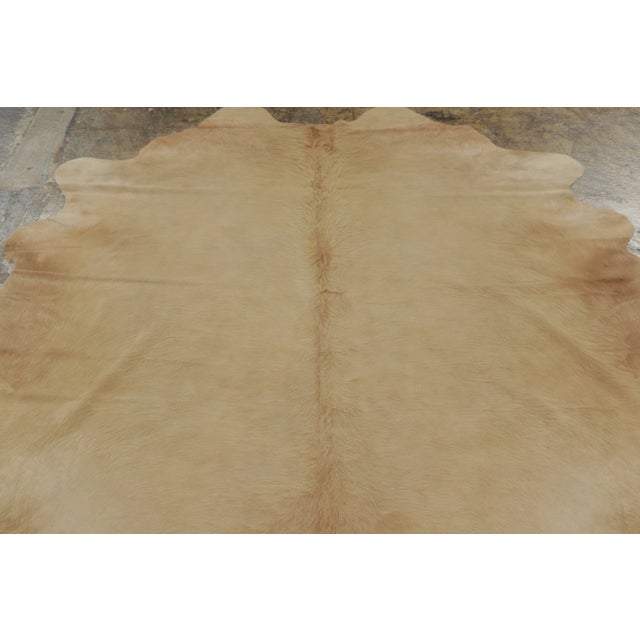 This 7x7 contemporary cowhide rug is an exciting new addition to Rug & Kilim’s Modern collection—a naturally shaped animal...
