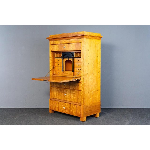 Biedermeier Birch & Elm Secretary For Sale - Image 4 of 18