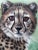 Pip McGarry – Cheetah Cub: Innocence of the Wild, c.2020 – Original Oil Painting Signed British Wildlife Painting –...