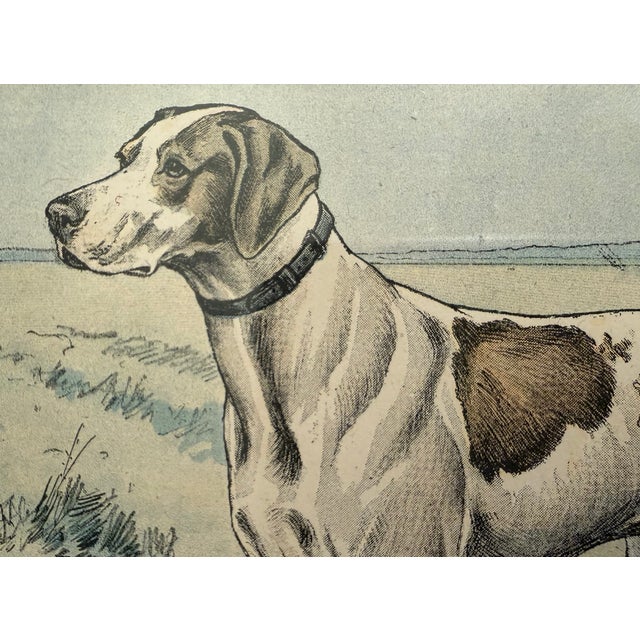Army Green Beautifully Framed French Chromolithograph of Pointer Dog, Signed P. Mahler, Early 20th Century For Sale - Image 8 of 10