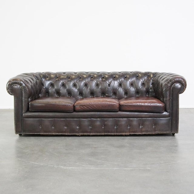 Dark Brown 3-Seater Cowhide Chesterfield Sofa For Sale - Image 15 of 15
