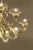 Elegant scenographic chandelier in champagne color made in Murano glass and gold24 k plated metal frame. For classical and...