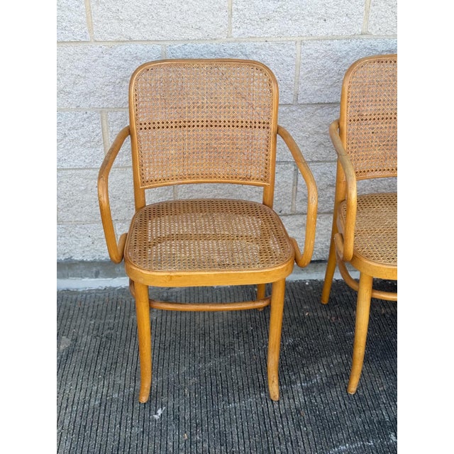 A Set of Four Mid Century Thonet Style Bentwood Prague Chairs Chairs For Sale In Philadelphia - Image 6 of 11