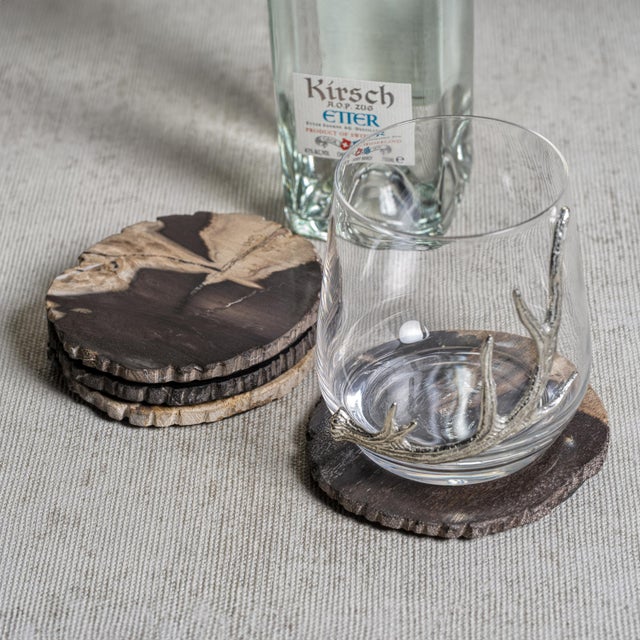 Contemporary Plover 4" Petrified Wood Coasters, Set of 4 For Sale - Image 3 of 4
