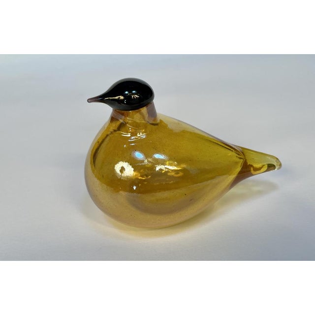 Tirri Mouth-Blown Glass Art Birds by Oiva Toikka for Iittala, Finland 1980s, Set of 2 For Sale - Image 14 of 18