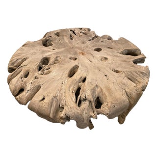 Andrianna Shamaris Impressive Large Teak Root Coffee Table For Sale