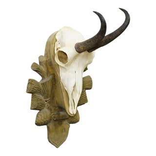 Vintage Black Forest Chamois Trophy on Wooden Plaque, Germany 1960s For Sale