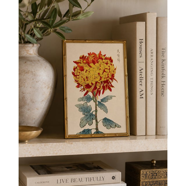 Paper Asian Red Mum by Hasegawa, Vintage Japanese Botanical Art Print, 12" X 18" For Sale - Image 7 of 8