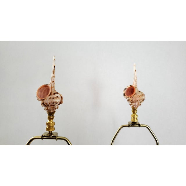 Pink Lamp Pair Seashells Shells Restored For Sale - Image 8 of 12
