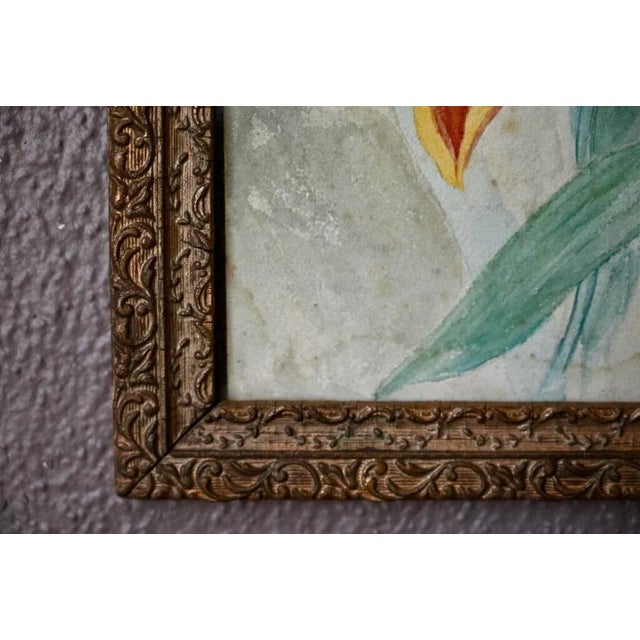 1940s Tulips, France, 1940s, Glass & Wood & Paper For Sale - Image 5 of 7