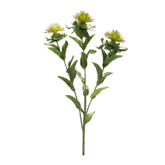 Bring the beauty of nature indoors with our Green Thistle Floral Spray Set. This collection of 34.75" sprays features...