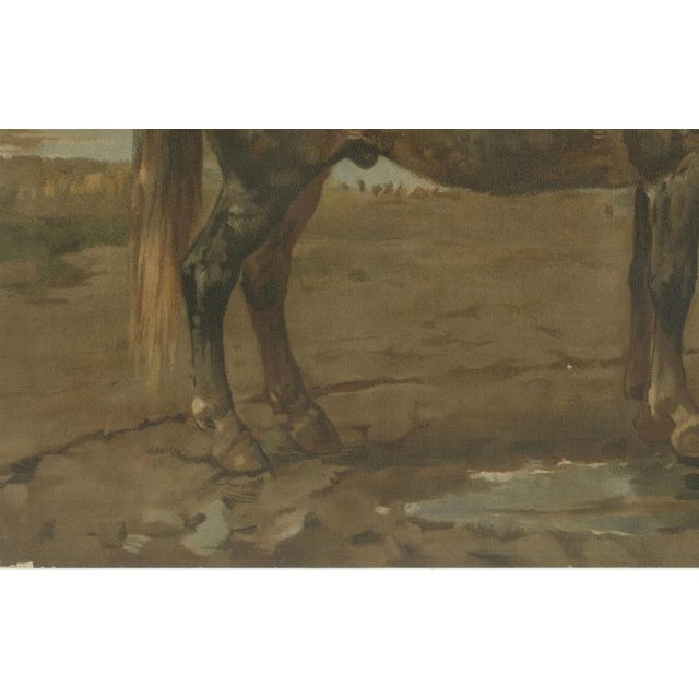 After Otto Eerelman, Russian Draft Horse, 1898, Lithograph on Paper For Sale - Image 6 of 9