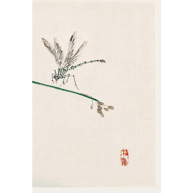 Dragonfly on Bulrush Leaf by Kōno Bairei, Vintage Japanese Art Print Reproduction, 24" X 16" For Sale - Image 4 of 9