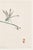 Dragonfly on Bulrush Leaf by Kōno Bairei, Vintage Japanese Art Print Reproduction, 24" X 16" For Sale - Image 4 of 9