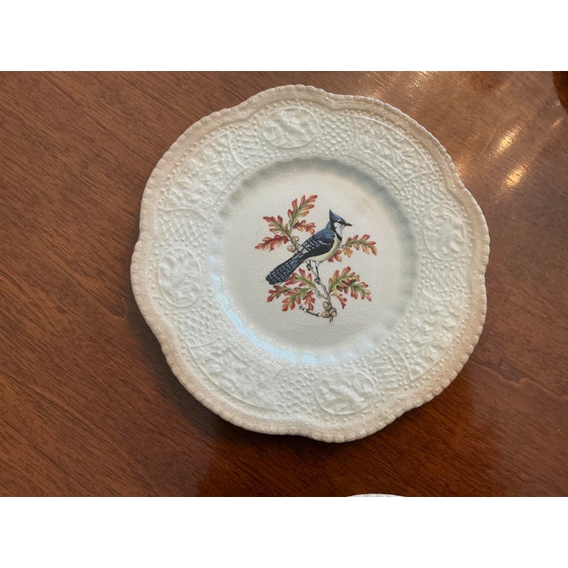 Mid-Century Modern Royal Cauldon Bristol Ironstone “Aviary” Bird Plates by h.a. Pausch, Set of 8, Mid-Century For Sale - Image 3 of 13