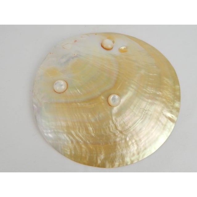 White Natural Mother of Pearl Shell Plate For Sale - Image 8 of 10