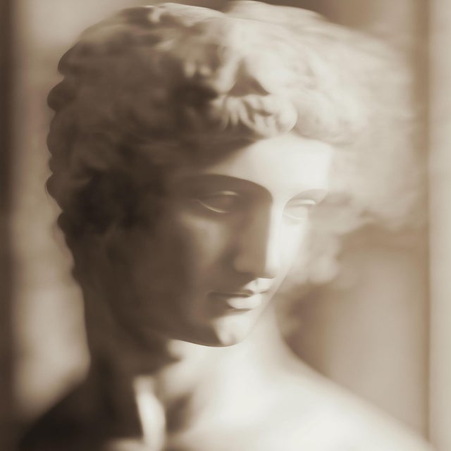 Set of 18 Blurred Antique Profiles — Archival Prints of Restored Antique Photographs For Sale - Image 12 of 17