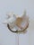 1970s Arthur Court Shell Sculpture on Lucite Stand For Sale - Image 5 of 7