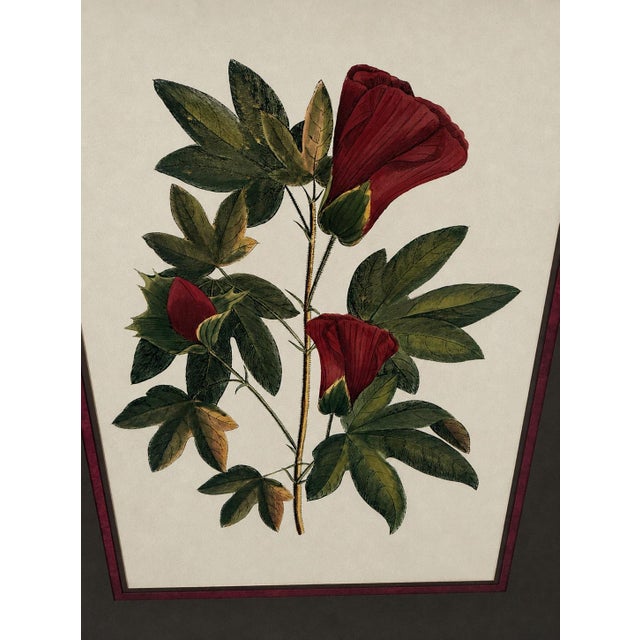 Vintage Framed "Jenna's Flowers Ii" Botanical Print by Decorative Arts, Inc. For Sale - Image 4 of 12