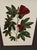 Vintage Framed "Jenna's Flowers Ii" Botanical Print by Decorative Arts, Inc. For Sale - Image 4 of 12