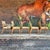Mid 20th Century Set of 5 Glenn of California Dining Chairs by Stewart McDougal For Sale - Image 5 of 12