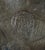 Metal Victor Silver Co Box Antique Silver Plate Collar Button Engraved Brewmasters For Sale - Image 7 of 16