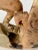 Asian Soapstone Monkey For Sale - Image 4 of 9