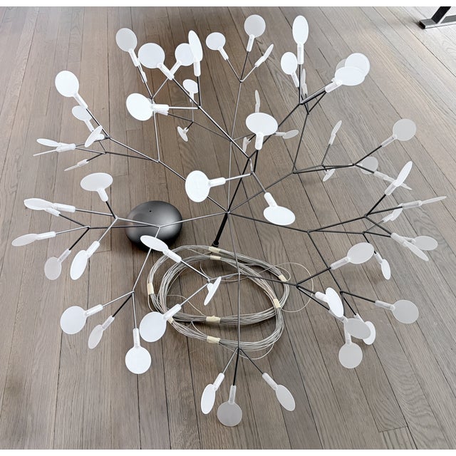 Contemporary Moooi Heracleum Large Suspended Light For Sale - Image 3 of 9
