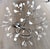 Contemporary Moooi Heracleum Large Suspended Light For Sale - Image 3 of 9
