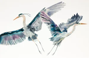 "Herons in Flight No. 3" - Original Watercolor Painting by Elizabeth Becker - Cranes or Egrets - Pair of Two Flying Birds - Wildlife Nature