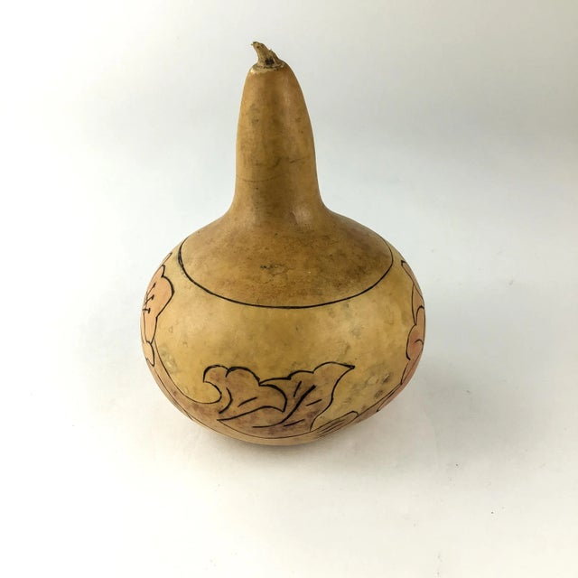 Brown Hand Carved Floral Motifs Over Natural Dried Gourd For Sale - Image 8 of 12