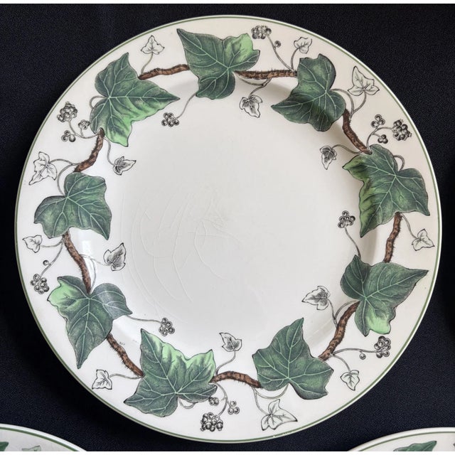 Ceramic Napoleon Ivy Wedgwood Vintage Plates - Set of 5 For Sale - Image 7 of 8