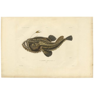 Angler, 1842, Paper For Sale
