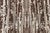 Contemporary Anatolia Traditional Wool Rug by Doris Leslie Blau For Sale - Image 13 of 14