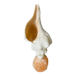 Coastal Decor Large Vintage Sea Shell on Stand For Sale