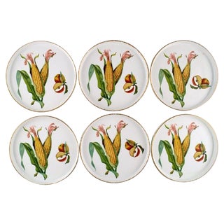 Round Porcelain Dishes with Corn Cobs from Royal Worcester, England, 1960s, Set of 6 For Sale