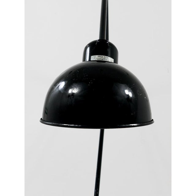 Bauhaus Clamp Table Lamp by Christian Dell, 1930s For Sale - Image 15 of 18