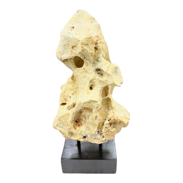 Indonesian Coral Stone On Teak Stand For Sale