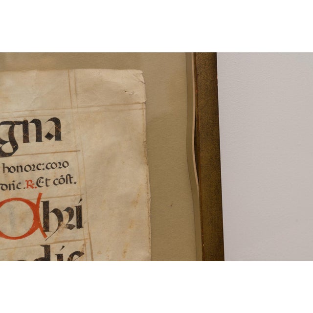 Wood 16th Century Framed Medieval Illuminated Manuscript Leaf From a Liturgical Choir Book For Sale - Image 7 of 9