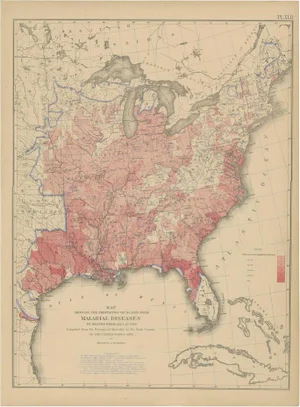 Antique Chart of the US Malarial Deaths, 1874