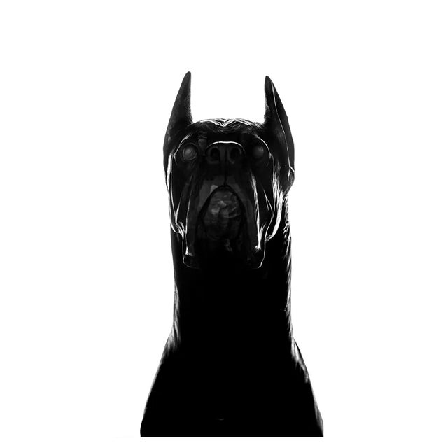 Carlotta Ginevra Volpini, The Batman, 2022, Photographic Print For Sale