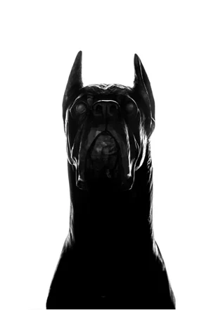 Carlotta Ginevra Volpini, The Batman, 2022, Photographic Print