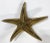 Mid 20th Century Vintage Brass Starfish Paper Weight For Sale - Image 5 of 7