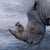 Contemporary Shelter - Spirit of the Rhino by Marcin Owczarek | Photography of a rhino with animals on its back For Sale - Image 3 of 5